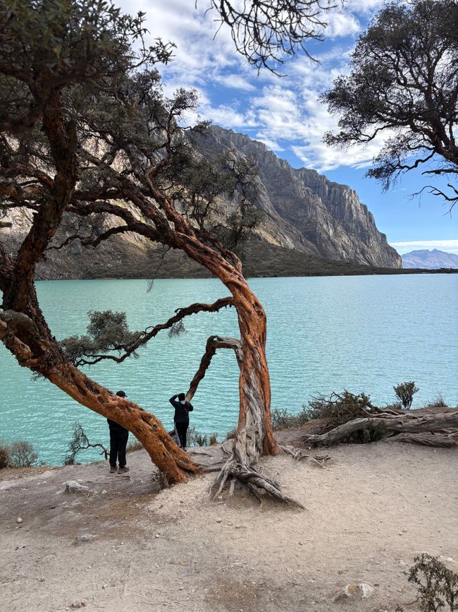 Huaraz 🦙
