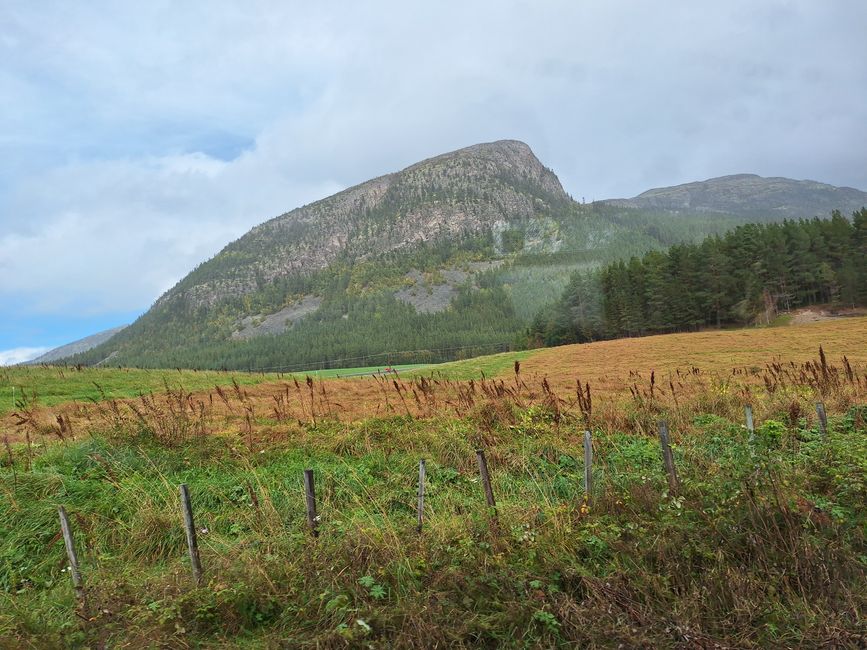 Tag 8 Via Oslo a Trondheim