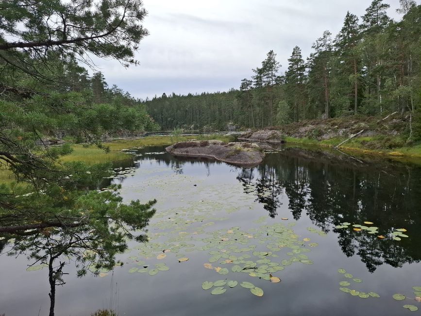 Halden – Tresticklans NP – Halden