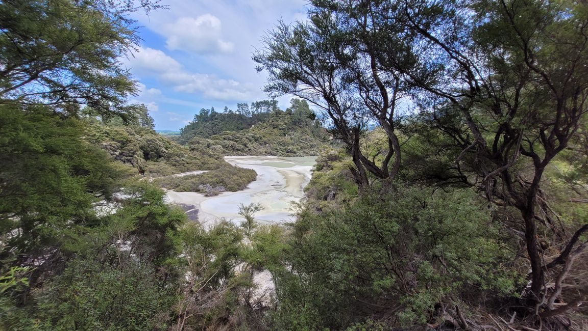 In Wai-O-Tapu National Park and at Lady Knox