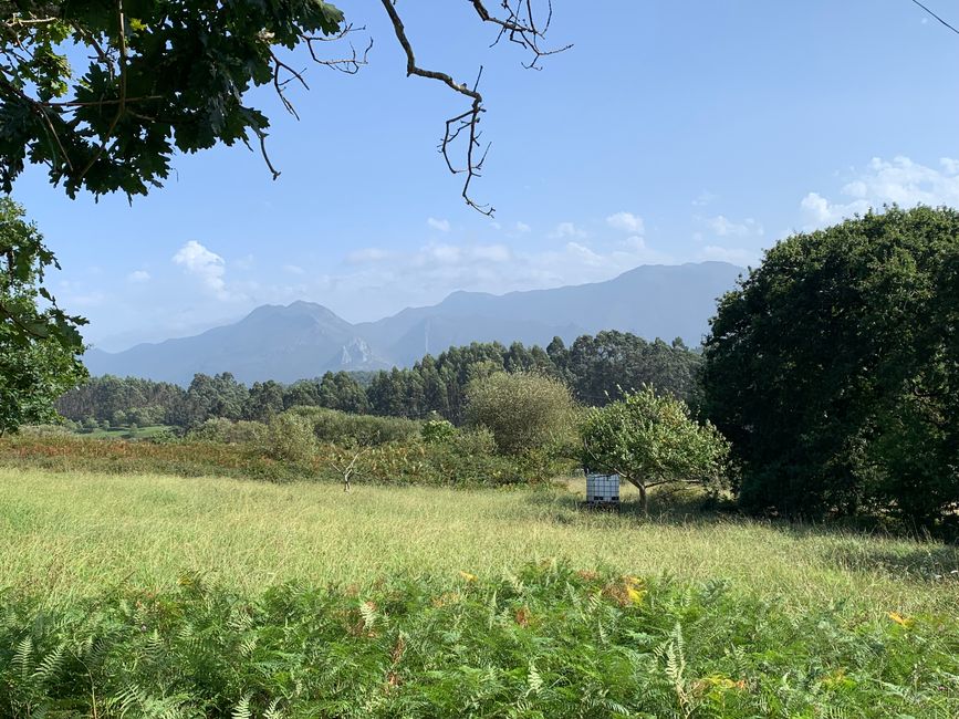 Ribadesella