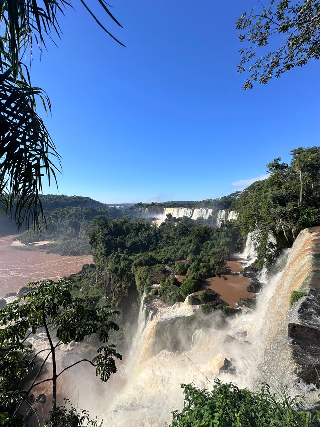 Tag 30 - Puerto Iguazú