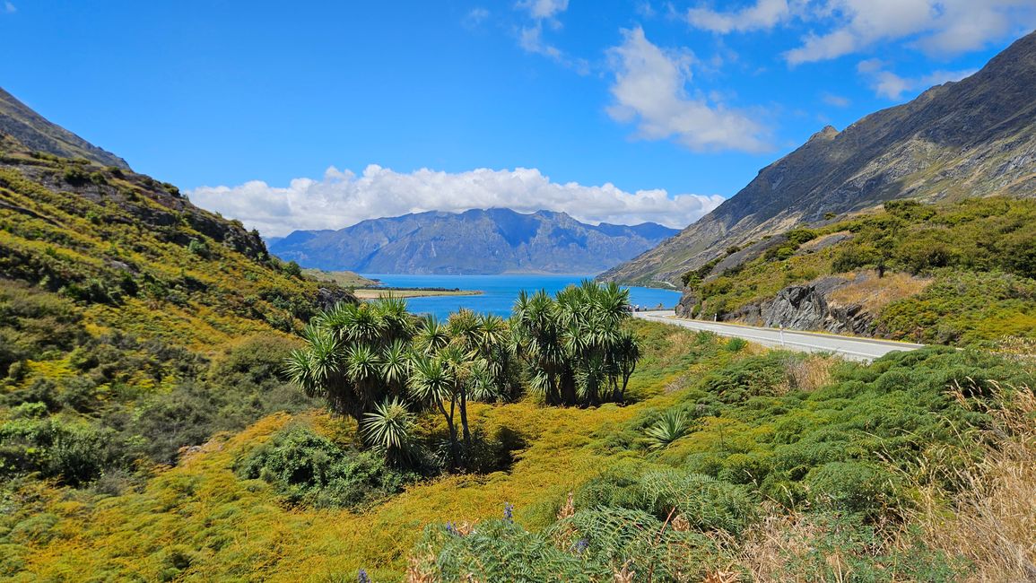 Haast Pass - Isthmus Peak - Wānaka
