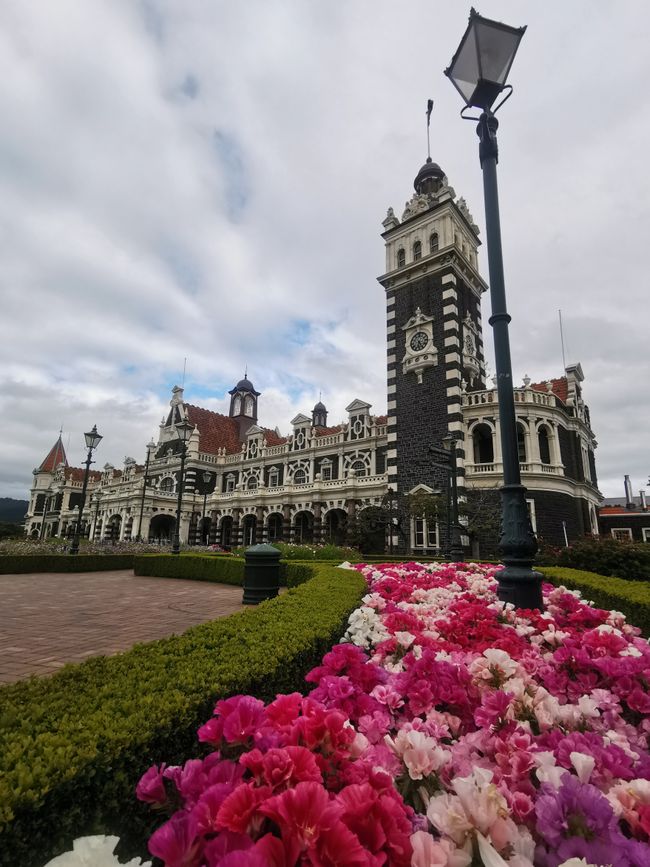 Dunedin
