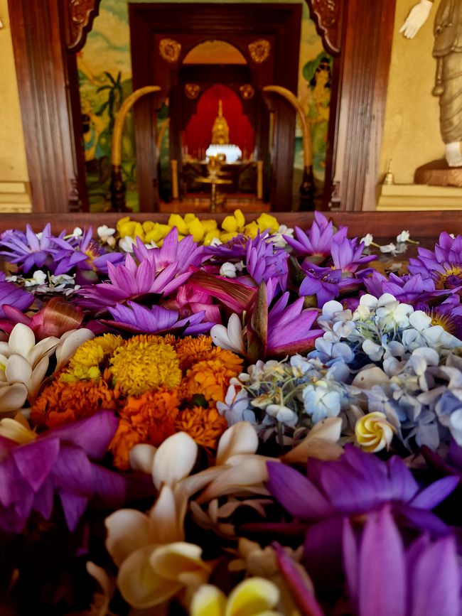 Kandy - Diente de Buda y 'la santa oásis de paz y iluminación'.