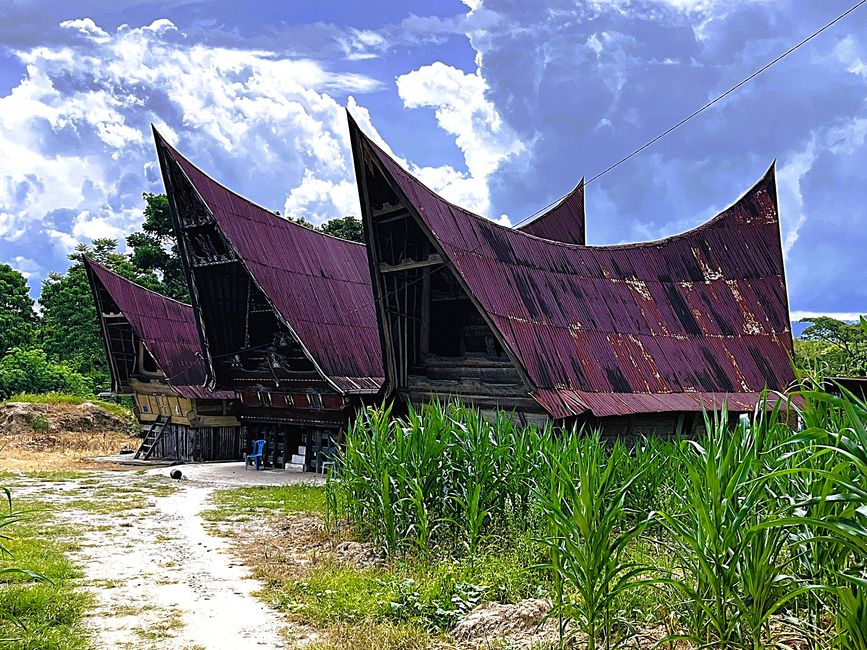 Casas tradicionales Batak