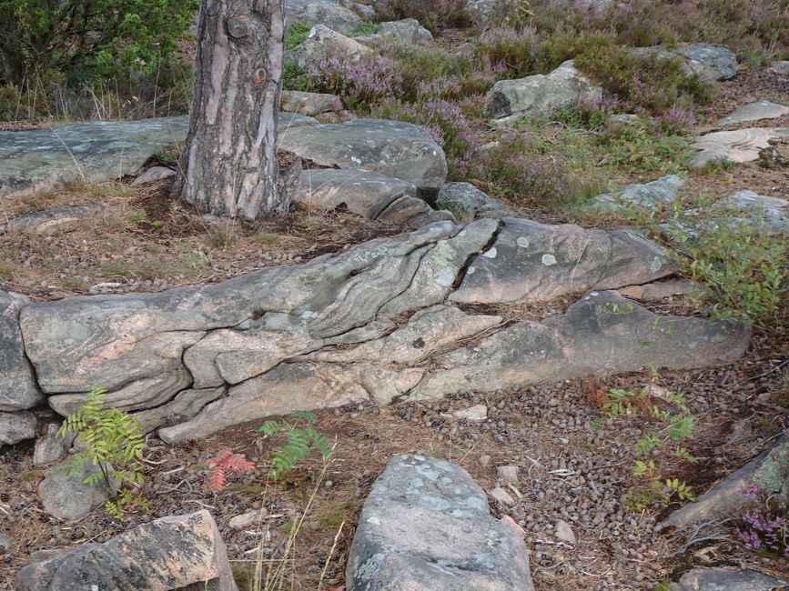 Kristinehamn - Karlstad - Hammarö Sydspets - Kristinehamn
