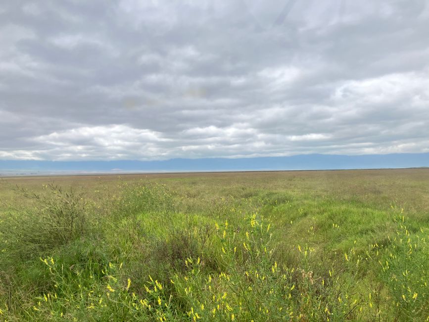 Il Cratere di Ngorongoro