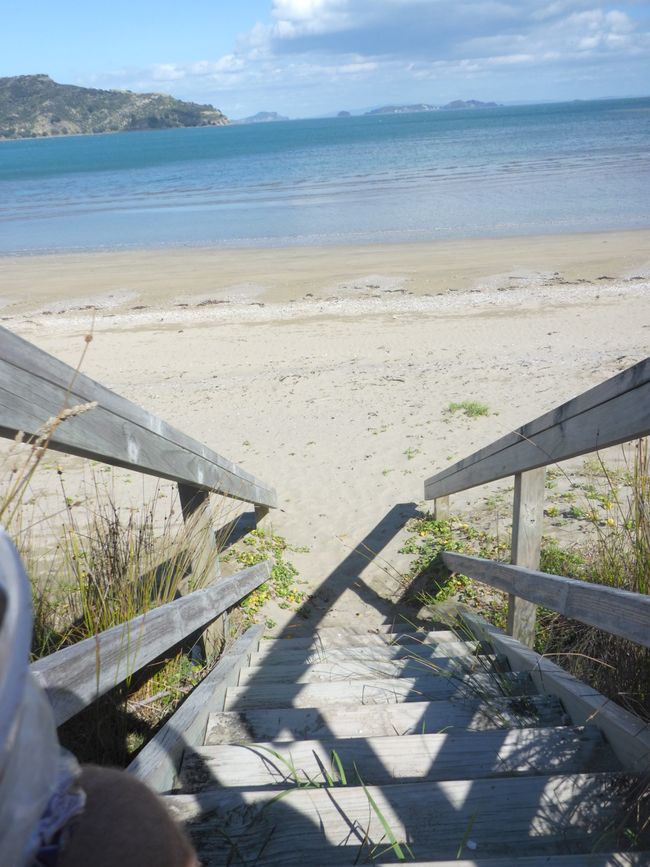 2025-04-11 NZ, Coromandel