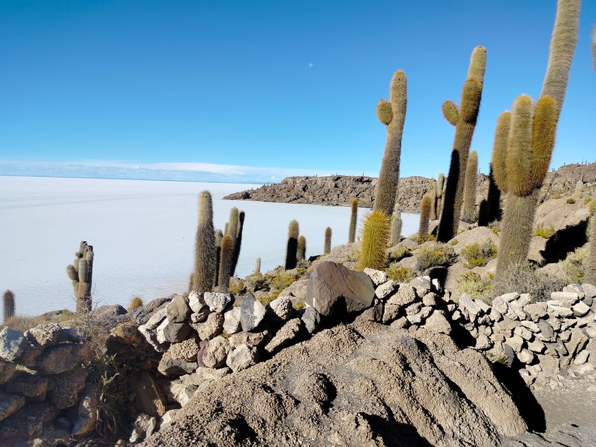 Uyuni - Excursion dans le désert de sel