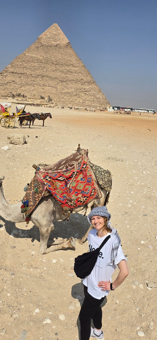 Zwischen Urlaub und Nebenwirkungen- Ägypten hautnah