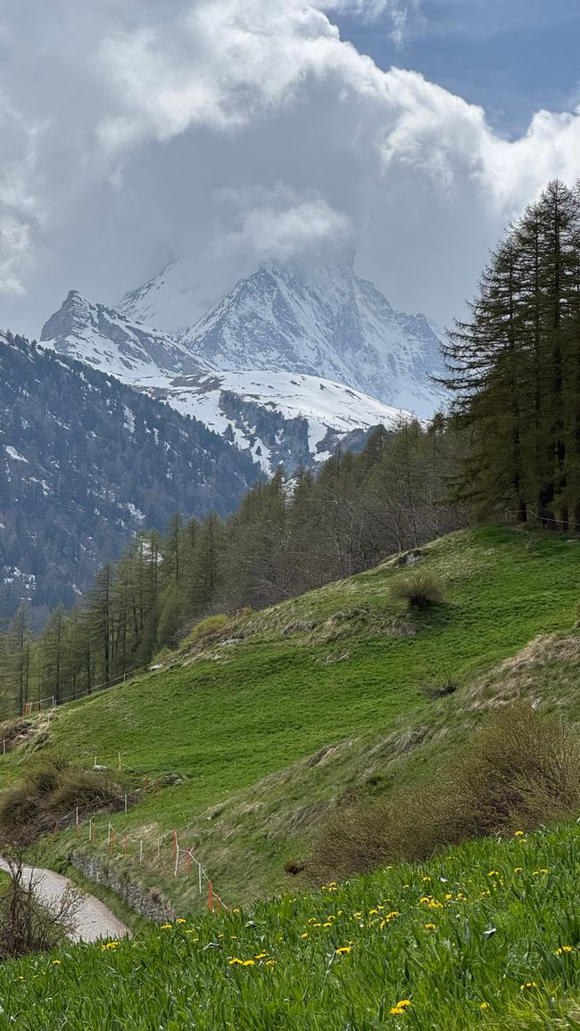 Blick zum Matterhorn 