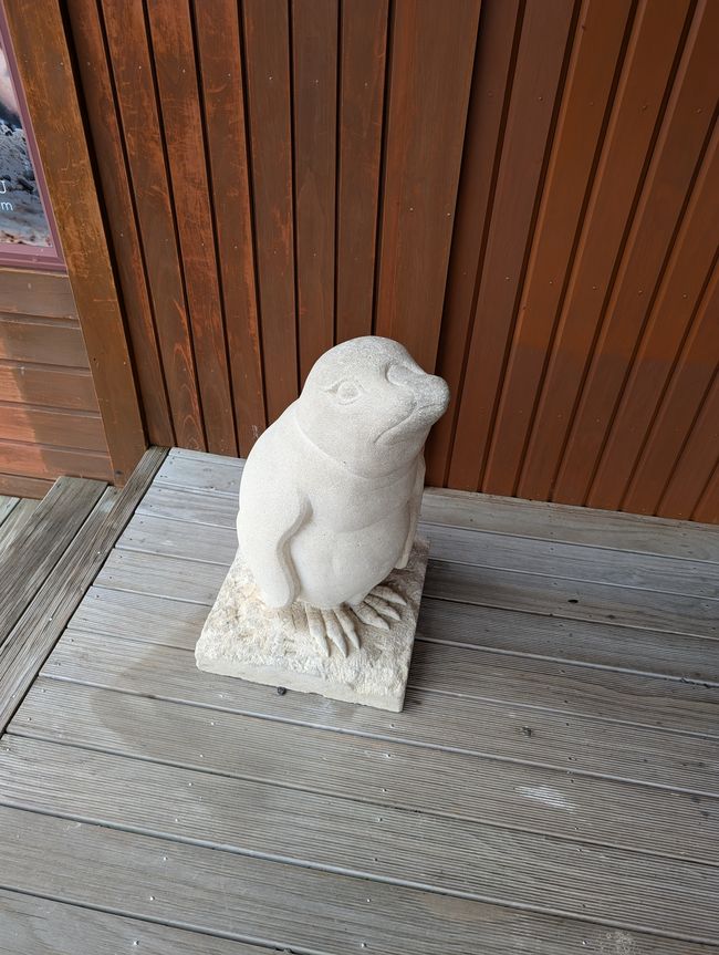 Oamaru blue Penguin colony 