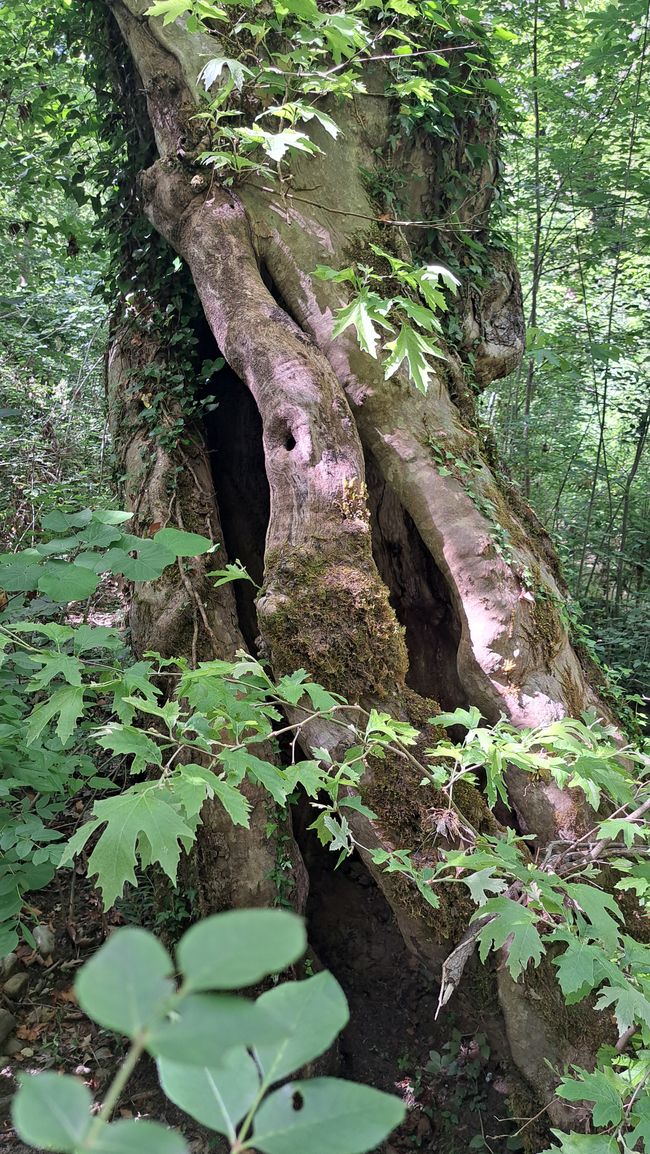 Beeindruckend 