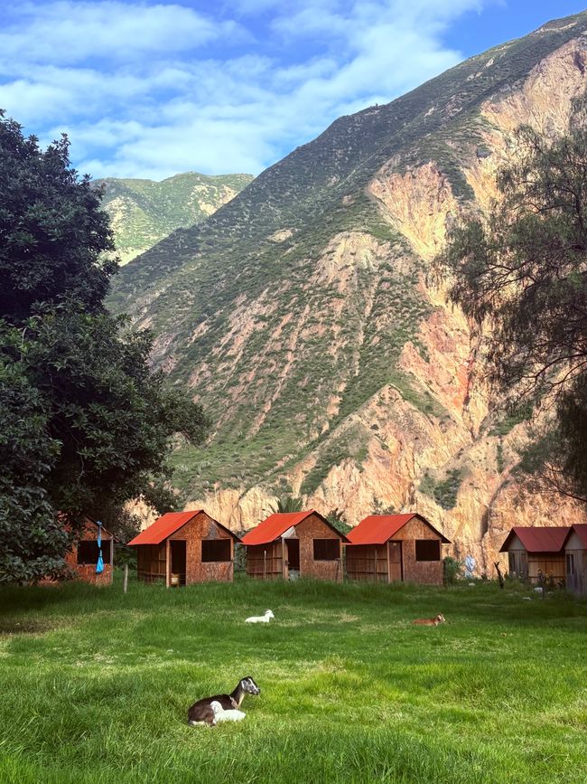 Canyon de Colca
