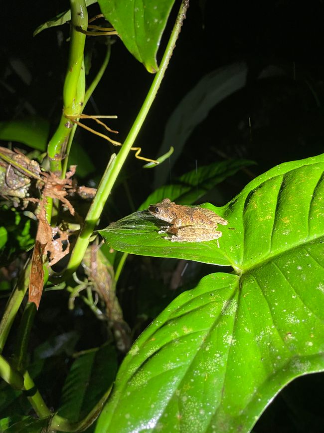 Zwei Ausflüge der besonderen Art