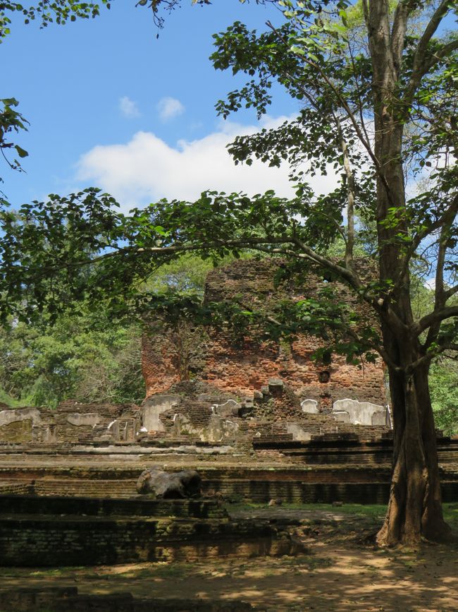 Polonnawaruna