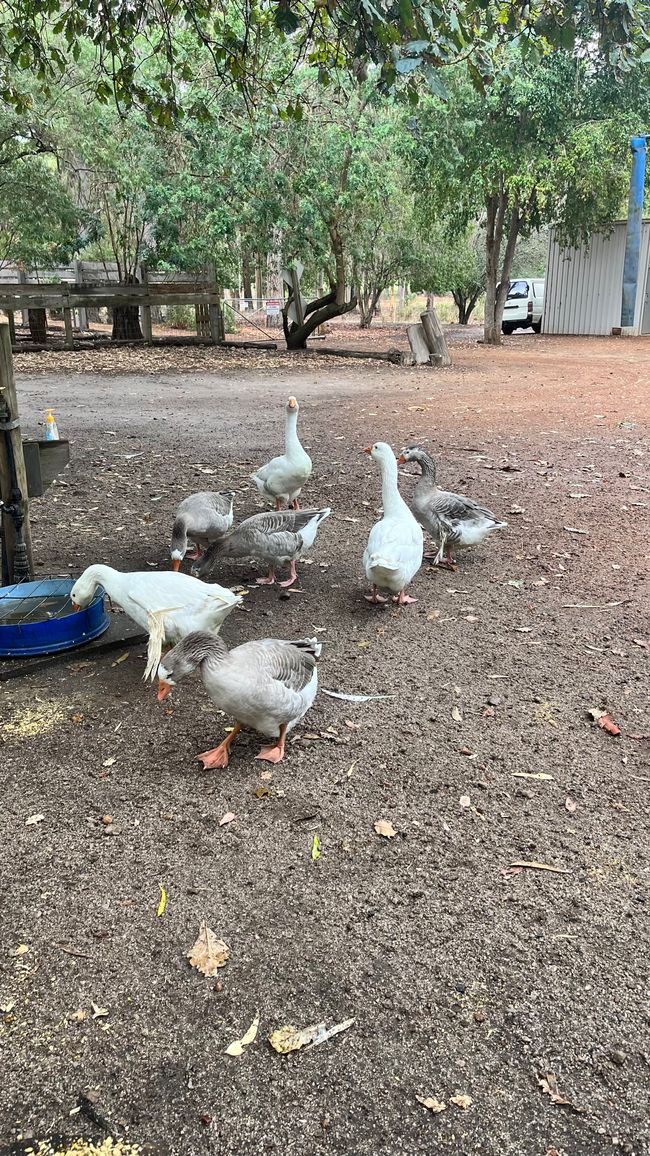 Margaret River