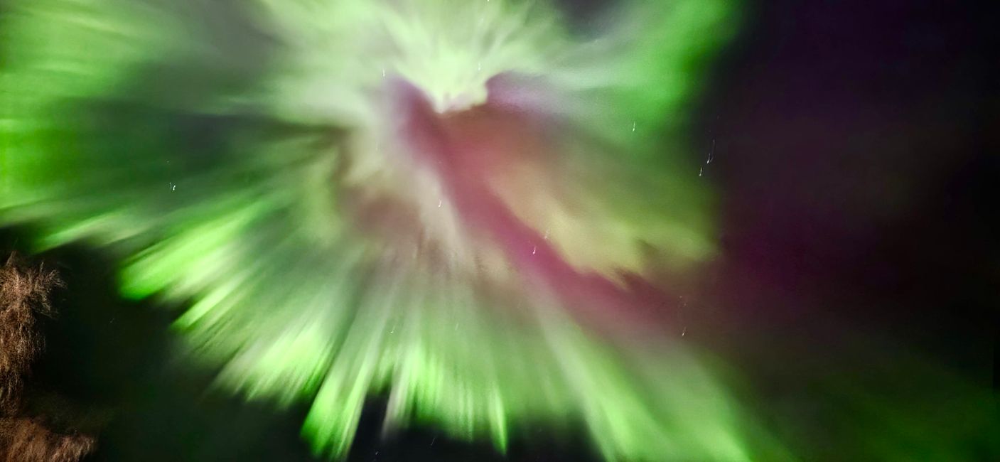 Alaska wasn’t just a trip.
It was a feeling you carry long after you leave.