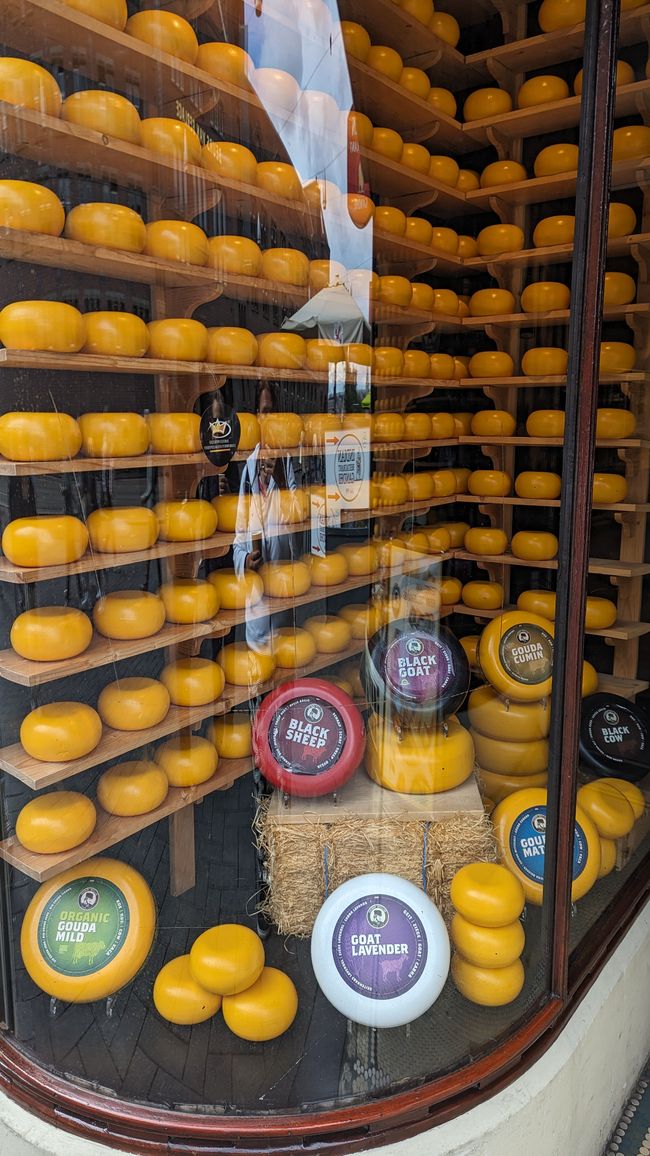 Amsterdam Cheese Store