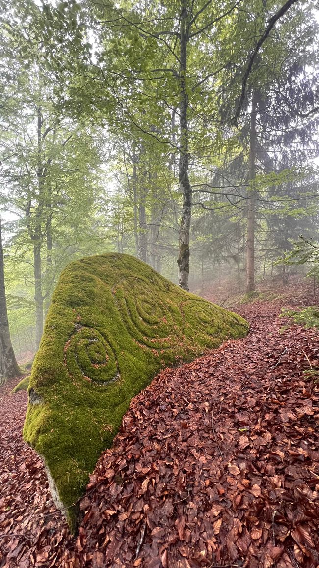 Home is where the heart is and my heart is with you