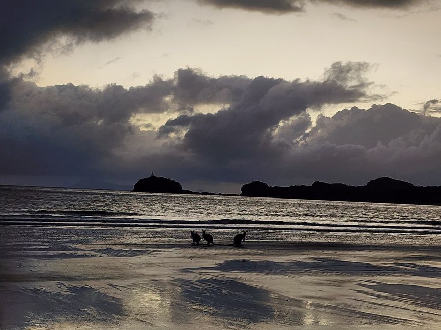 Tag 21, 15. Mai, Cape Hillsborough Nationalpark