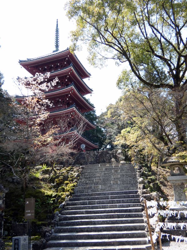Chikurin-ji Tempel