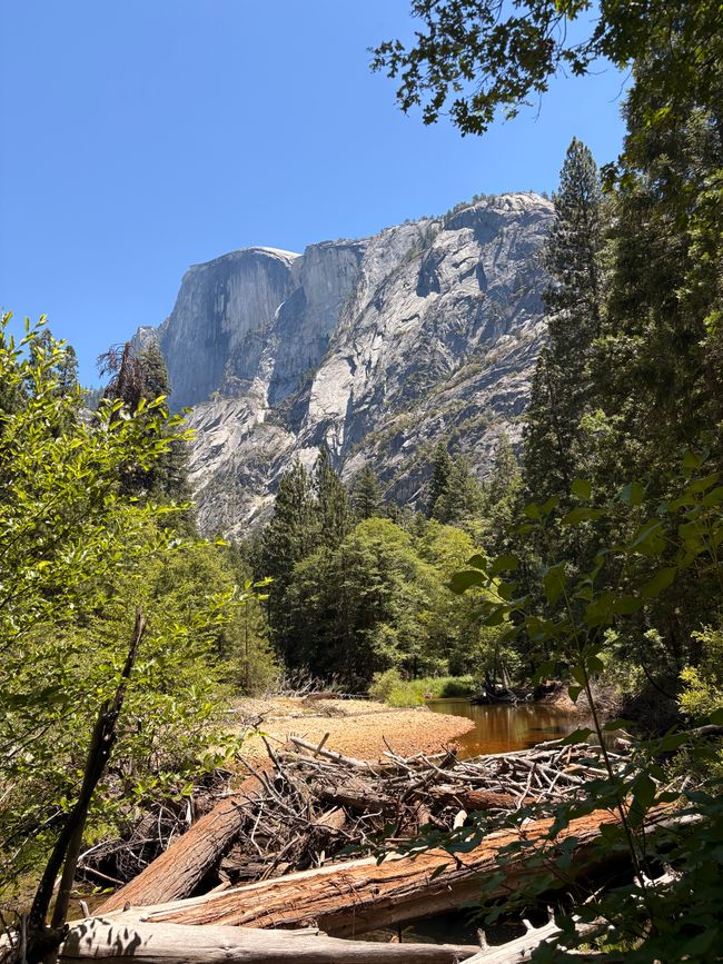 Yosemite National Park