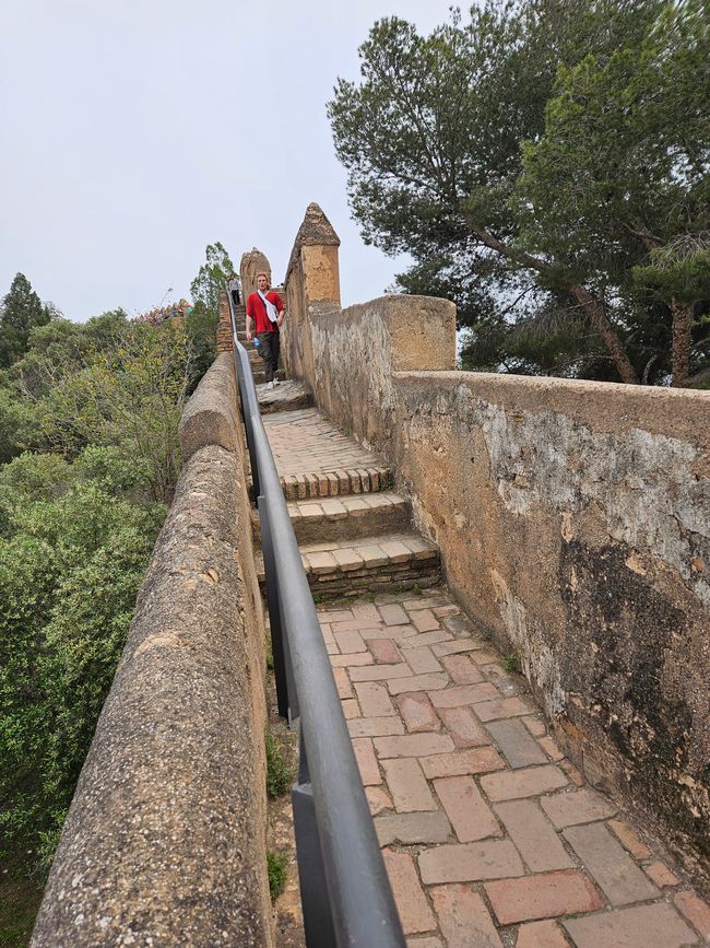 2025 - Abril - Málaga