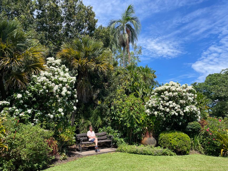 Resting in the botanical garden
