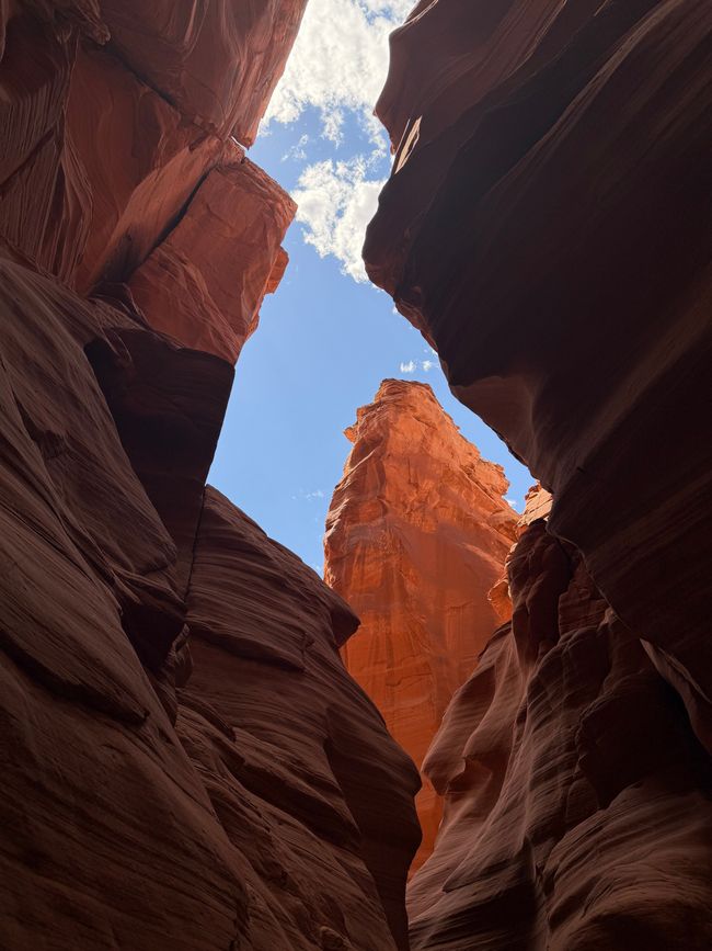 BLOG 6 : Les canyons d'Antelope et Horseshoe Bend