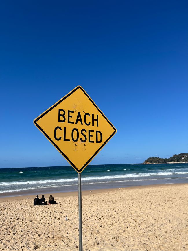 Manly Beach