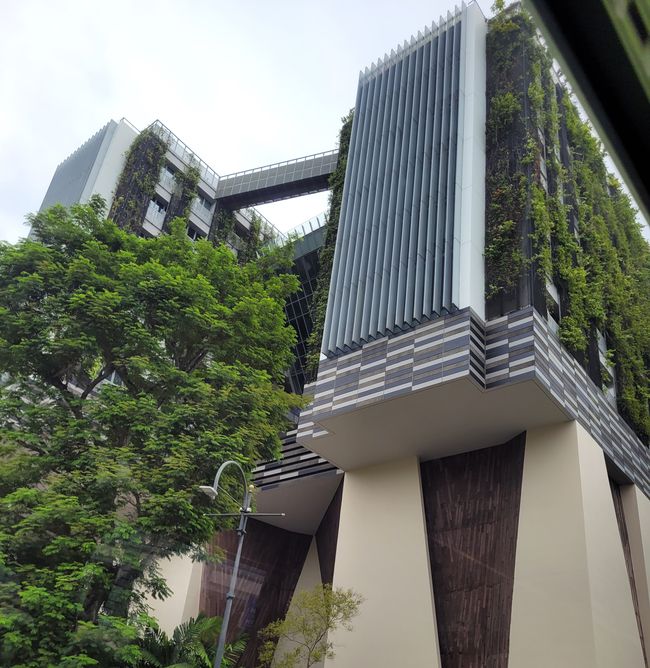 Tag 116 und 117: Kreuzfahrt rund um die Welt  - Singapur