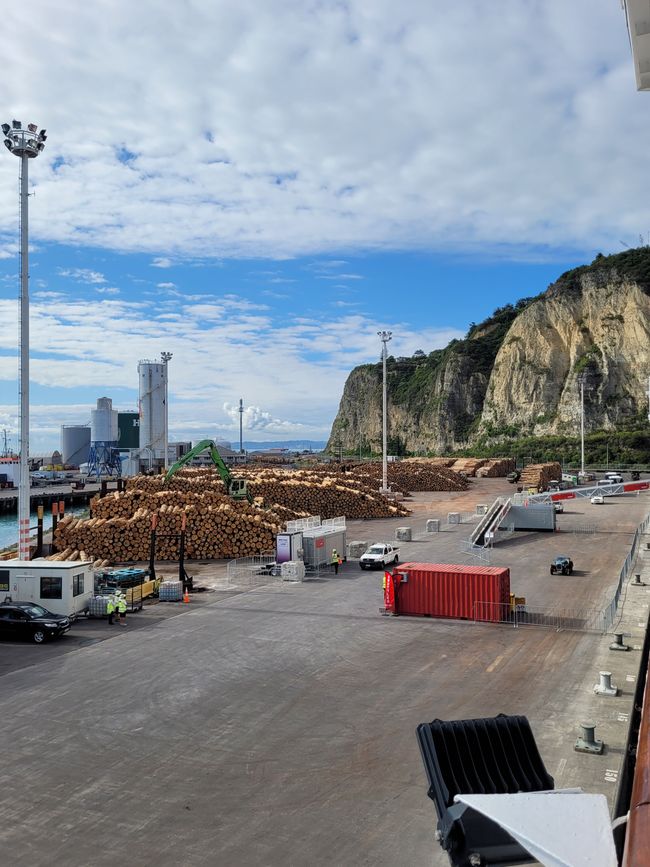 Giorno 81 di 175: Crociera intorno al mondo - Napier/Nuova Zelanda