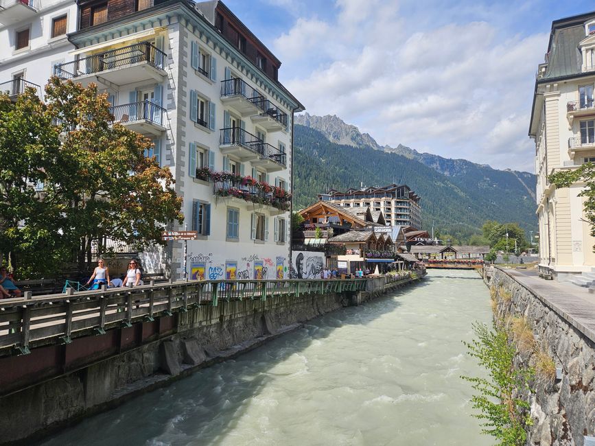Die Arve