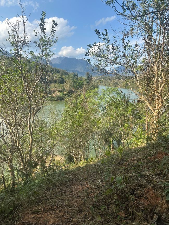 Muang Ngoy