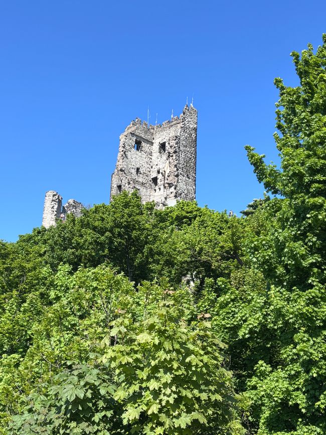 Beer garden at the castle
