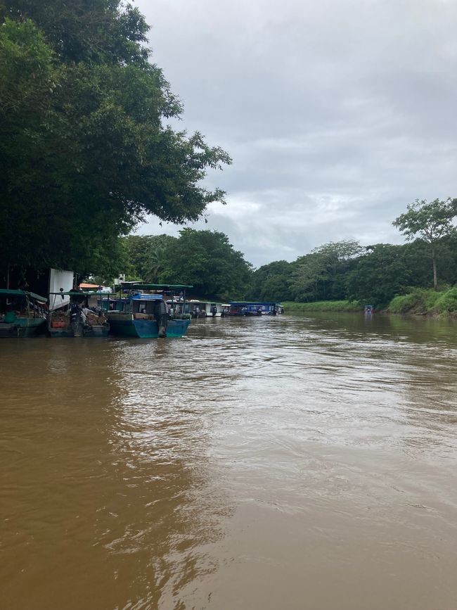 Tortuguero