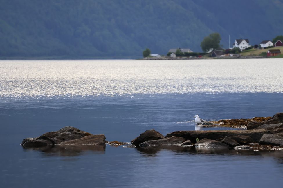 Südnorwegen hat mich in seinen Bann gezogen