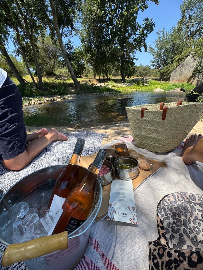 Weihnachtstage in Stellenbosch