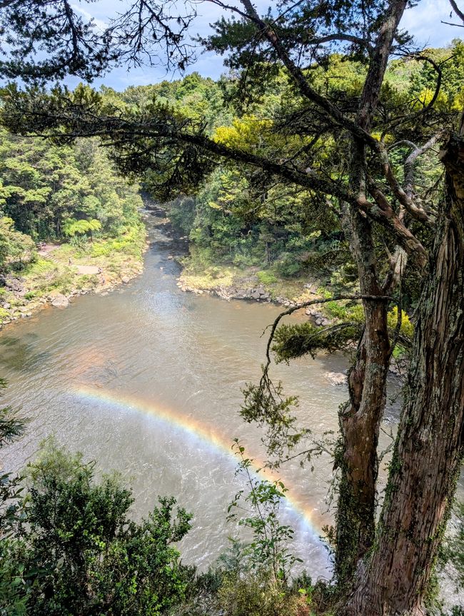 A rainbow doesn't choose to be a rainbow...