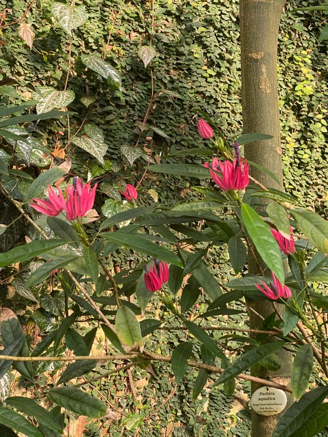 - von denen ich noch nie etwas gesehen habe -