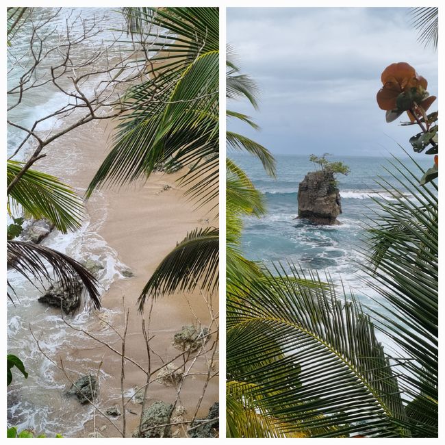 Dos noches en la costa caribeña en Cocles
