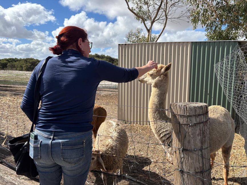 Parc des oiseaux et des animaux d'Esperance