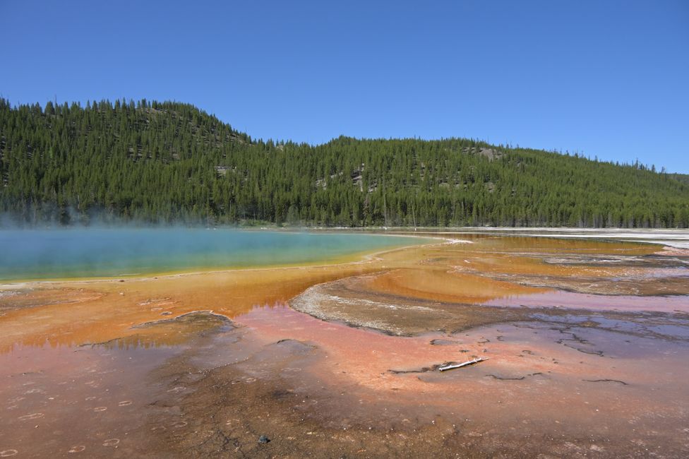 Bassin de geysers Midway - Source Grand Prismatic