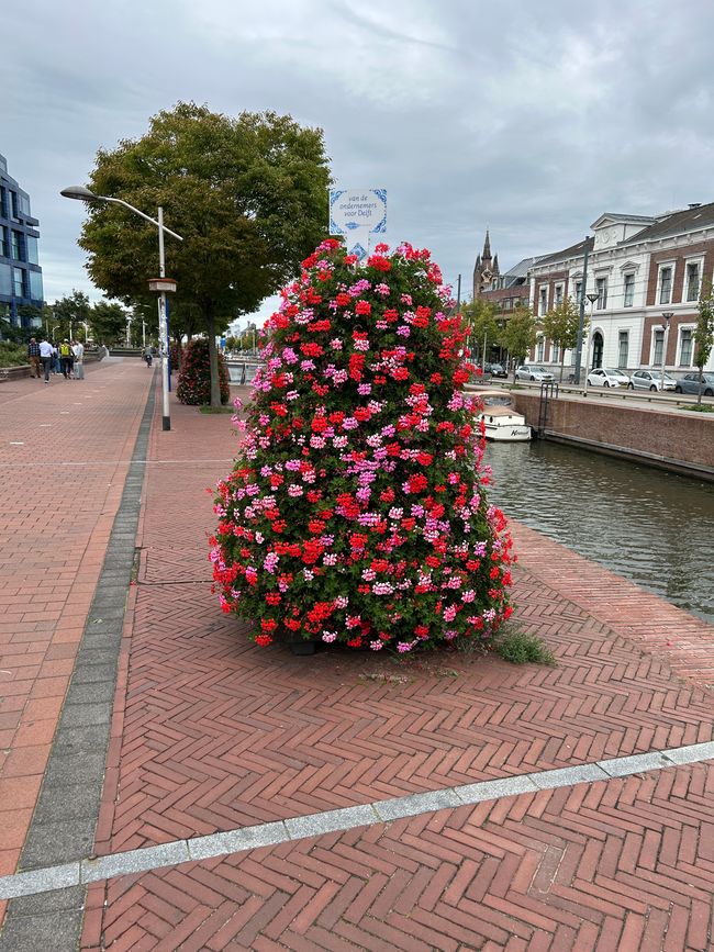 Tag 4: Sprang-Capelle - Den Haag Parte 3