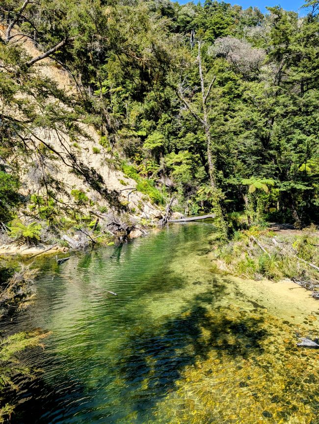Auf ein paar Worte in Abel 
Tasman