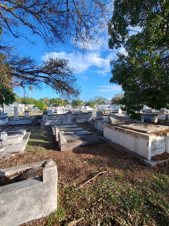 Friedhof Key West