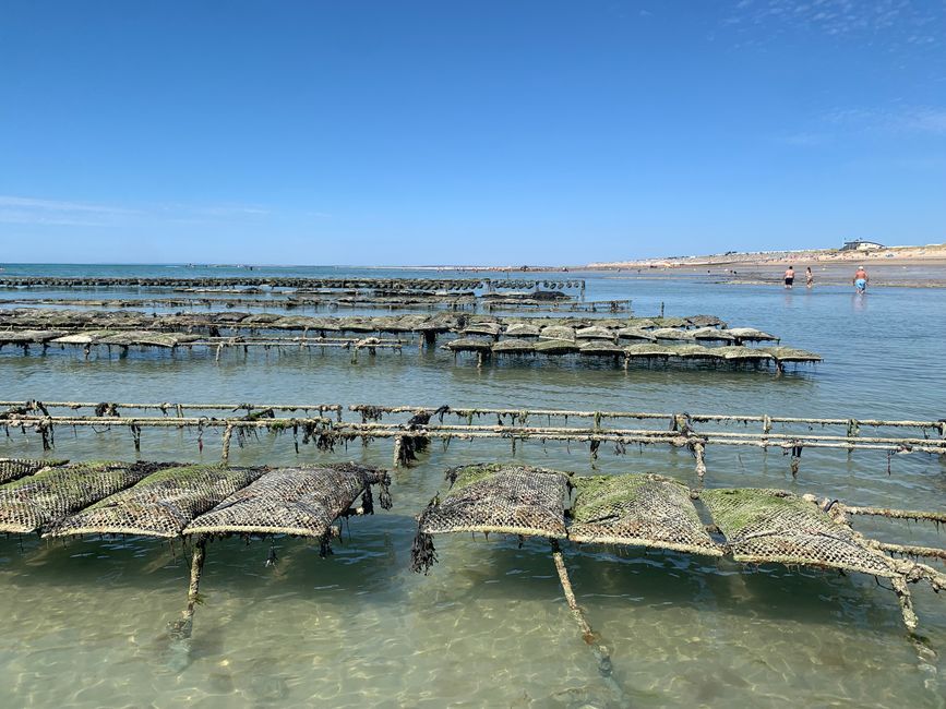 Gouville-sur-mer und die Austernzüchter