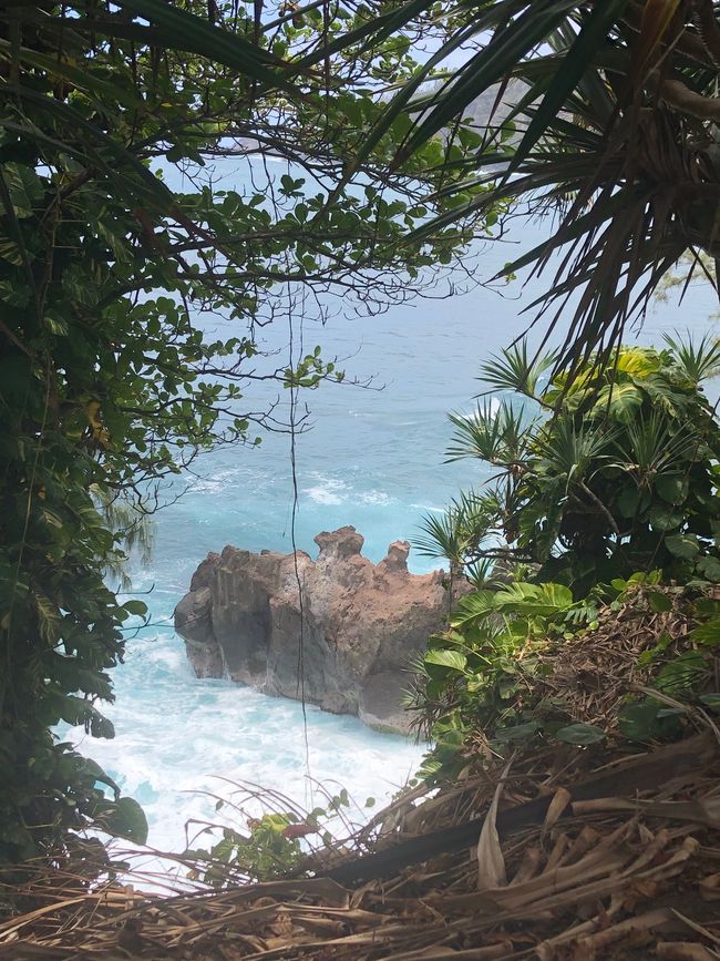 Côte rocheuse à Manapany